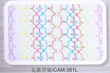 CAMS_381L