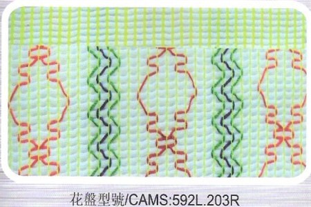  CAMS_592L.203R